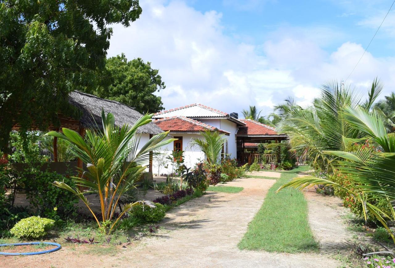 Prime Surfers Bungalow Аругам Экстерьер фото