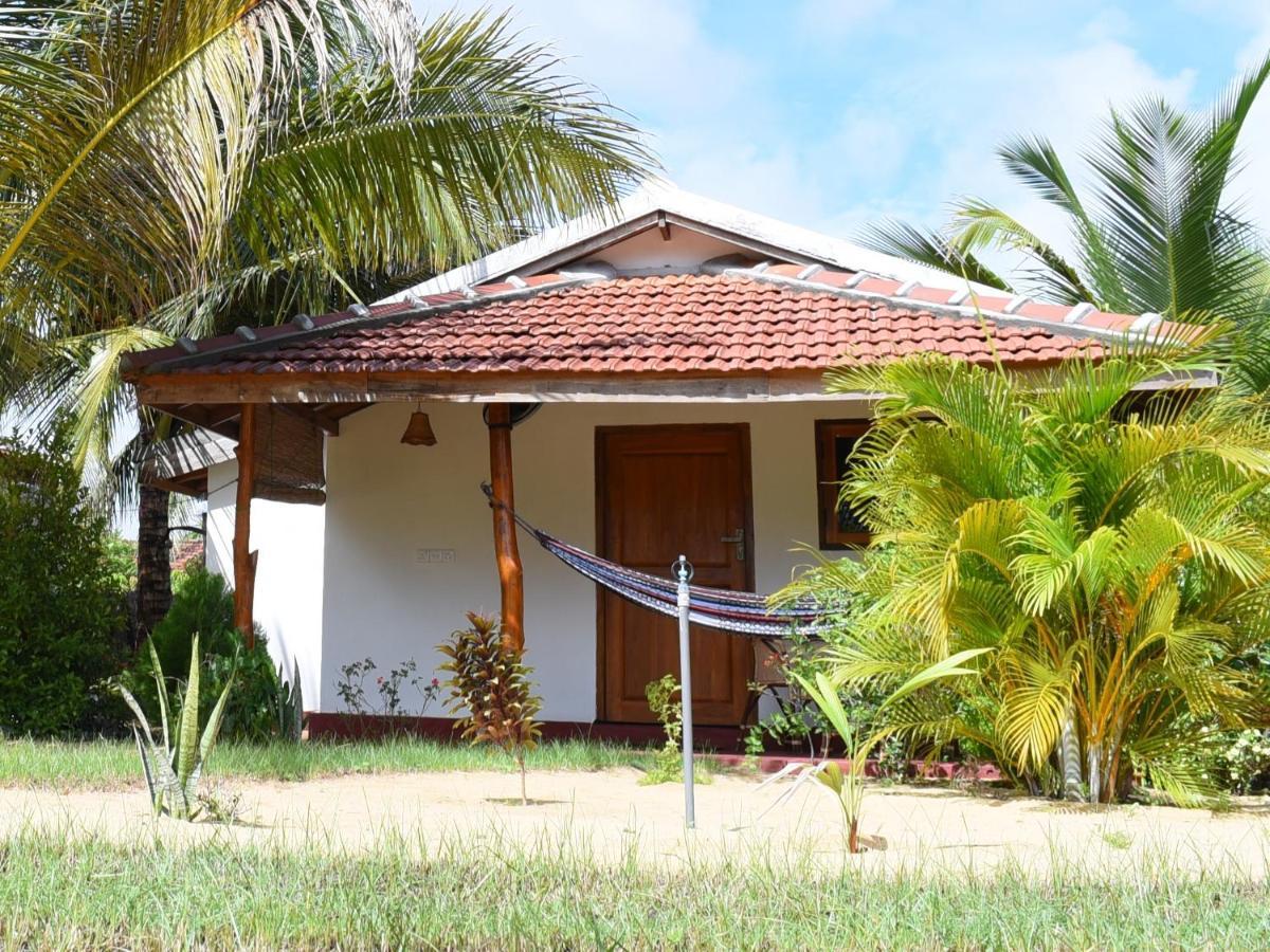 Prime Surfers Bungalow Аругам Экстерьер фото